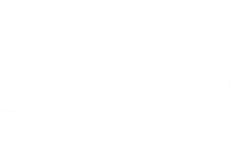 Busch Light logo